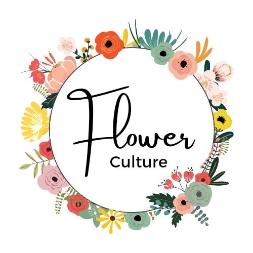 Learn How to Update Your Home with Flowers